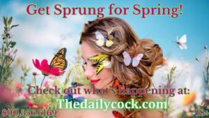 Sprung for Spring the daily cock 1-800-601-6975